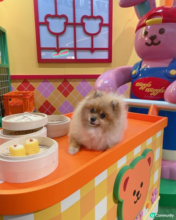 Airside - Wiggle Wiggle期間限定店🌈