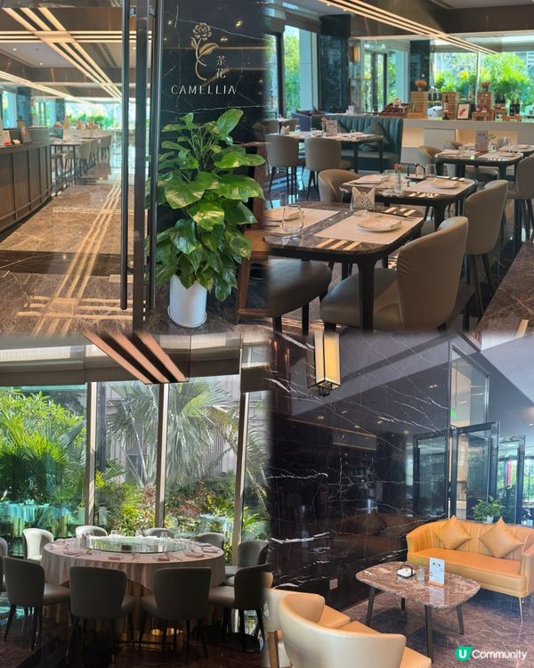 【住進達利的夢境|珠海臻林藝術療癒之旅】