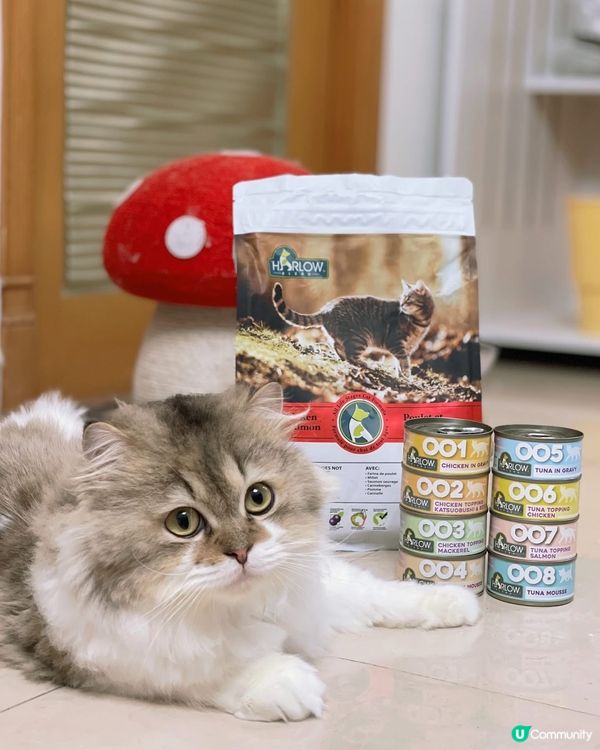 🌟Harlow Blend楓葉🍁既罐罐同貓糧，主子超愛🫶