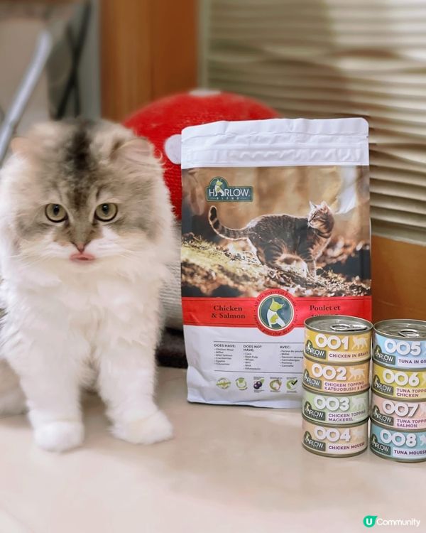 🌟Harlow Blend楓葉🍁既罐罐同貓糧，主子超愛🫶