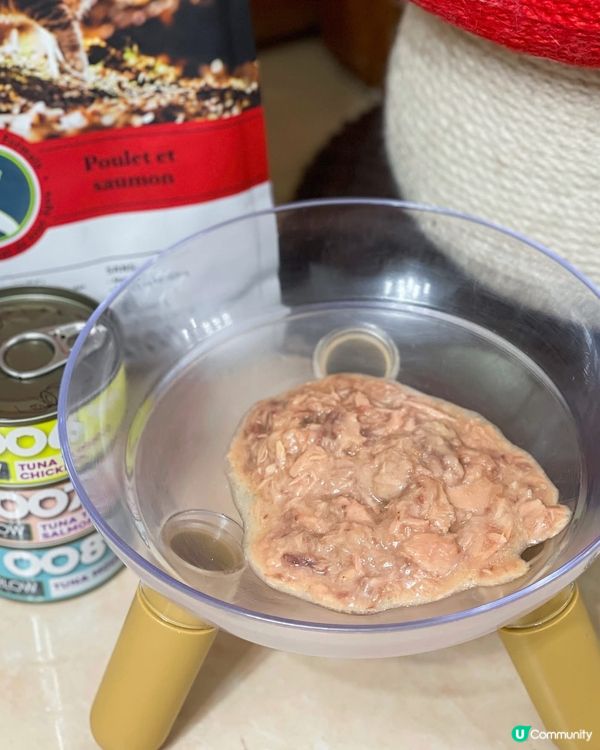 🌟Harlow Blend楓葉🍁既罐罐同貓糧，主子超愛🫶