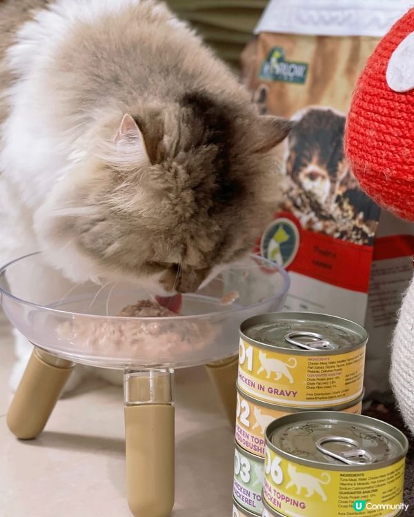 🌟Harlow Blend楓葉🍁既罐罐同貓糧，主子超愛🫶