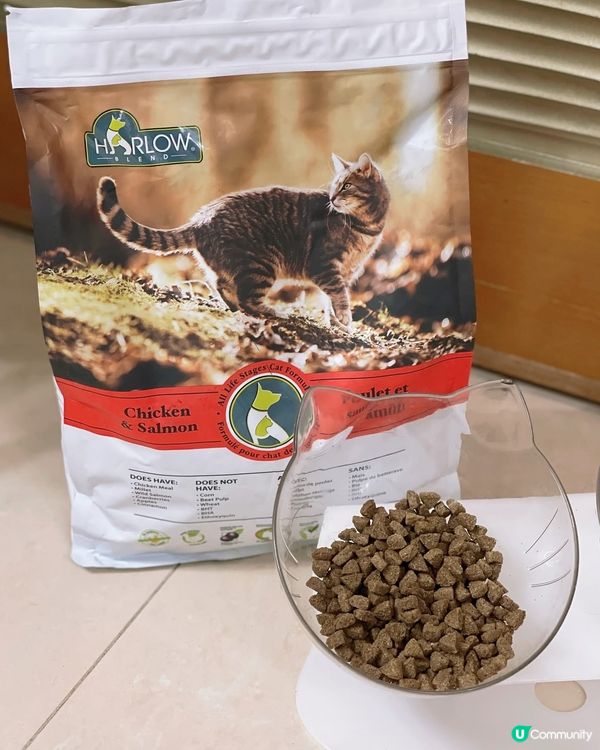 🌟Harlow Blend楓葉🍁既罐罐同貓糧，主子超愛🫶