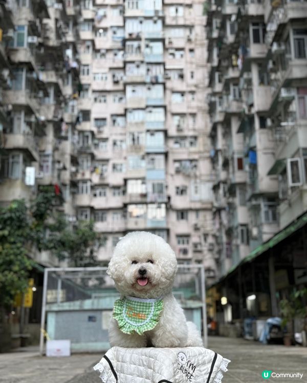 我要去怪獸大廈打怪獸👾