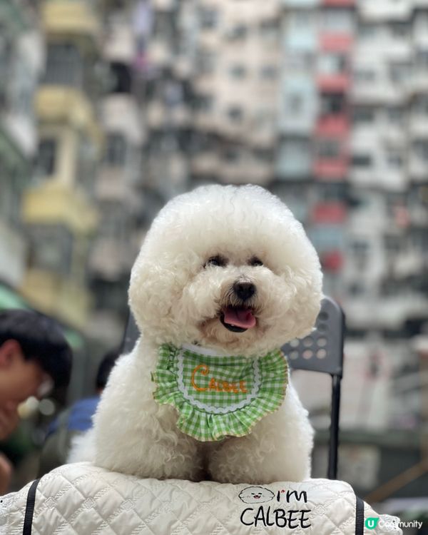 我要去怪獸大廈打怪獸👾