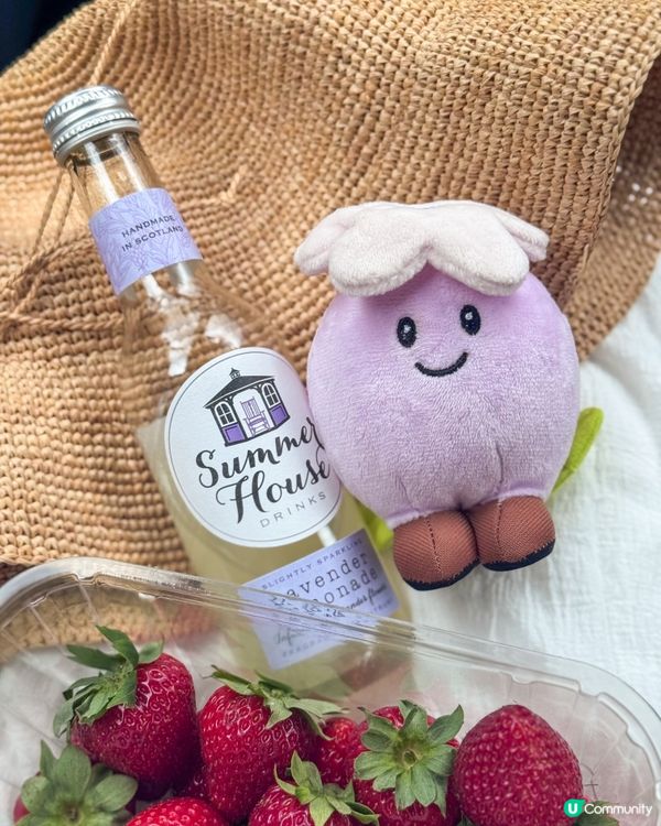 全英國最大薰衣草園