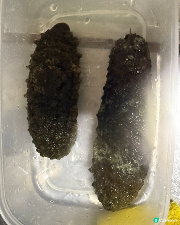 花膠海參螺頭栗子豬骨湯