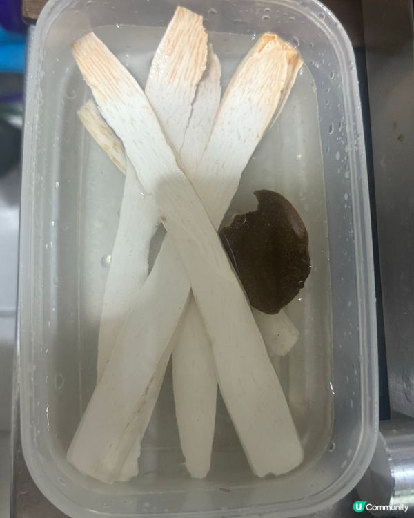 花膠海參螺頭栗子豬骨湯