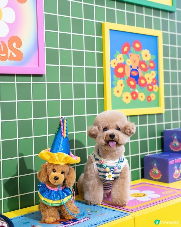 🤍💚Wiggle Wiggle🤍💚