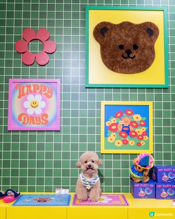 🤍💚Wiggle Wiggle🤍💚