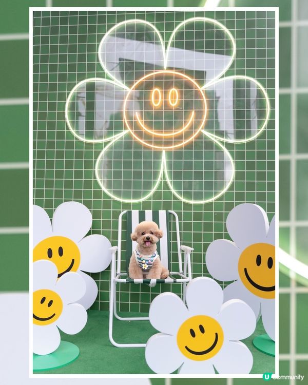 🤍💚Wiggle Wiggle🤍💚