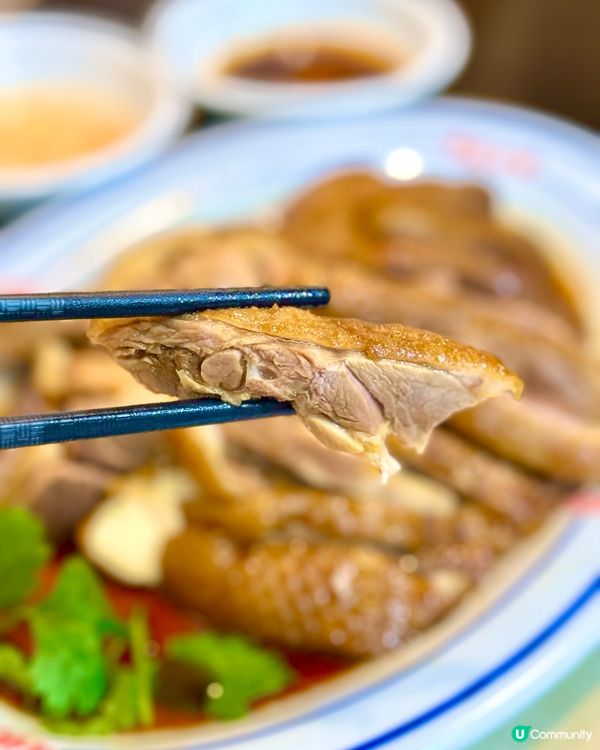 新蒲崗正宗潮州打冷老店 必點滷水鵝