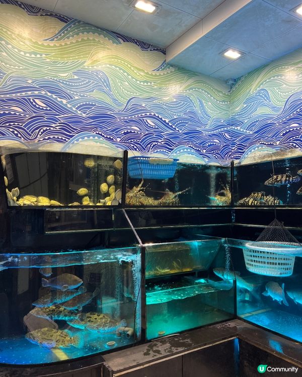 《鴨脷洲人氣滿滿中泰餐廳 海鮮夠哂新鮮🔥》