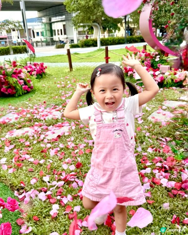 Wow😍超級靚嘅玫瑰花園🌹暑假必去打卡位📸！