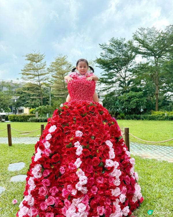 Wow😍超級靚嘅玫瑰花園🌹暑假必去打卡位📸！