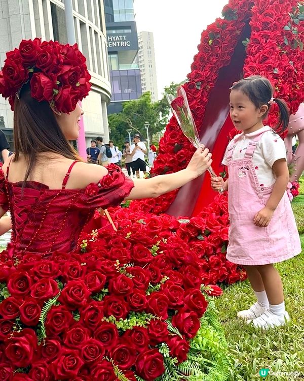 Wow😍超級靚嘅玫瑰花園🌹暑假必去打卡位📸！