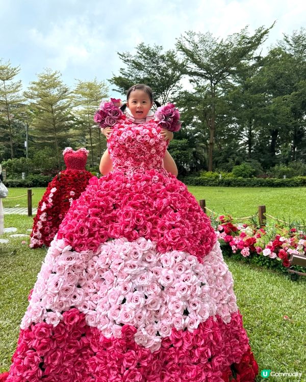 Wow😍超級靚嘅玫瑰花園🌹暑假必去打卡位📸！