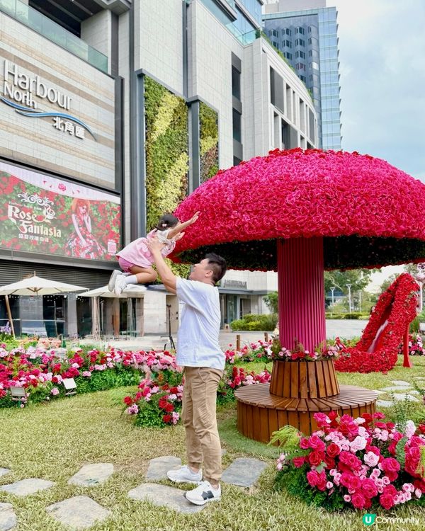 Wow😍超級靚嘅玫瑰花園🌹暑假必去打卡位📸！