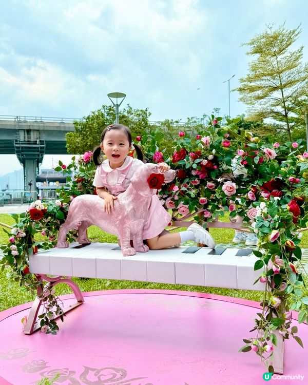 Wow😍超級靚嘅玫瑰花園🌹暑假必去打卡位📸！