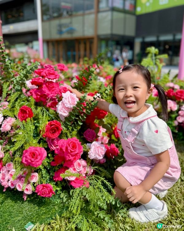 Wow😍超級靚嘅玫瑰花園🌹暑假必去打卡位📸！