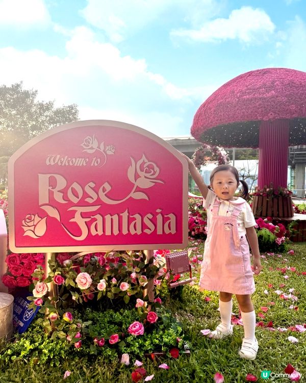 Wow😍超級靚嘅玫瑰花園🌹暑假必去打卡位📸！