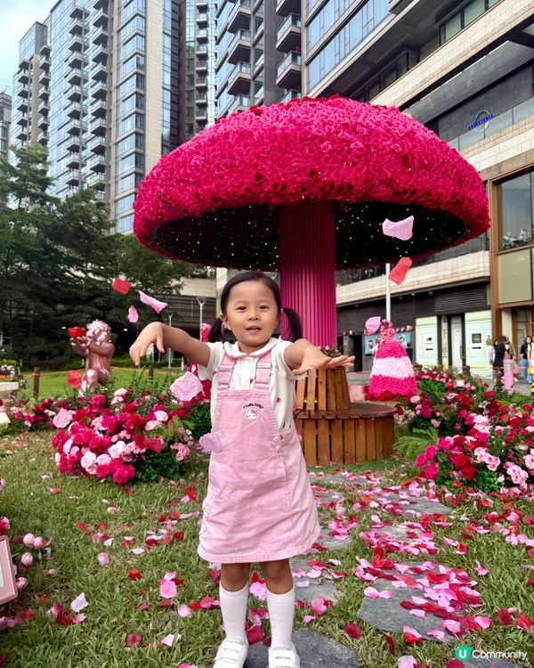 Wow😍超級靚嘅玫瑰花園🌹暑假必去打卡位📸！