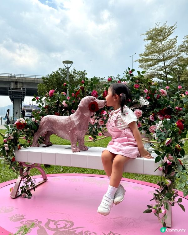 Wow😍超級靚嘅玫瑰花園🌹暑假必去打卡位📸！