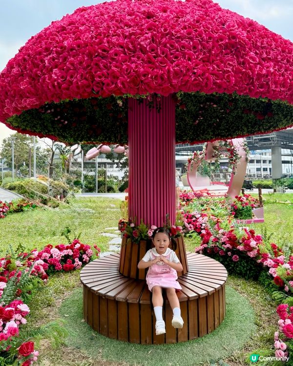 Wow😍超級靚嘅玫瑰花園🌹暑假必去打卡位📸！