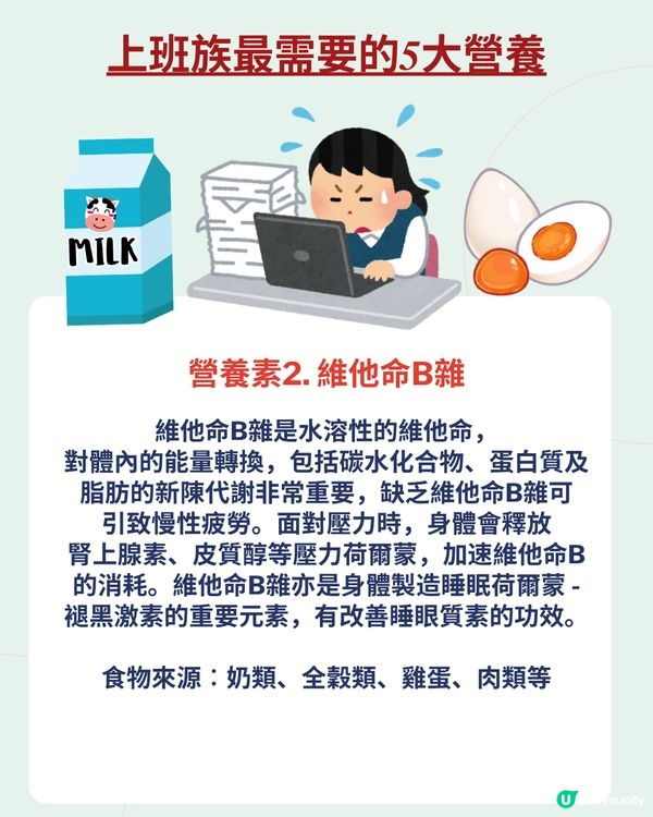 上班族最需要的5大營養🌟改善疲勞／注意力不集中問題 附食譜推介