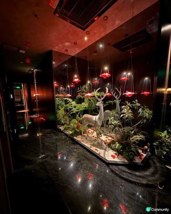 【✨快閃深圳.邊歎足浴邊看影視】