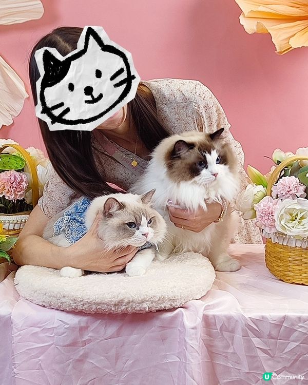 貓奴注意！貓迷博覽會嚟啦！😻 😻