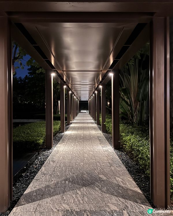 珠海悅椿酒店嘆世界！🌿 養生之旅GO！