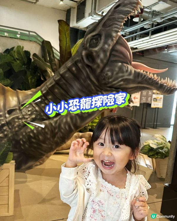 小小恐龍探險家🦖🦕🔍