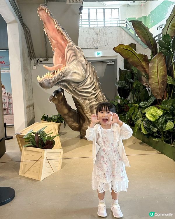 小小恐龍探險家🦖🦕🔍