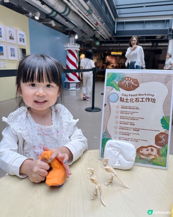 小小恐龍探險家🦖🦕🔍