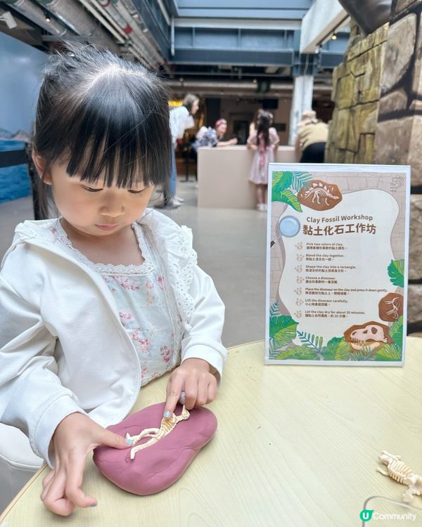 小小恐龍探險家🦖🦕🔍