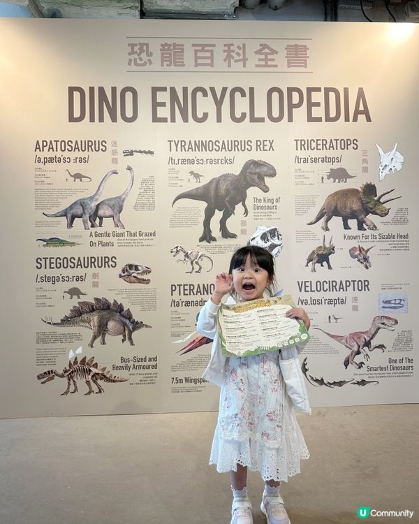 小小恐龍探險家🦖🦕🔍