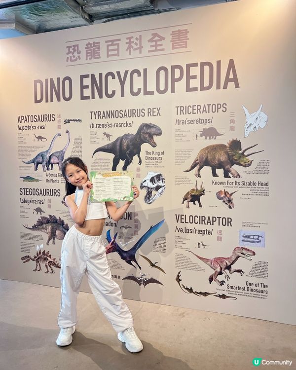 南豐紗廠又有活動啦🥳