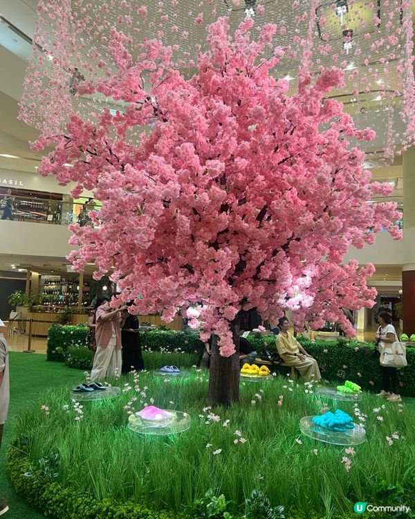 金鐘太古廣場x村上隆！全港首個花園限定店潮爆開幕🌸