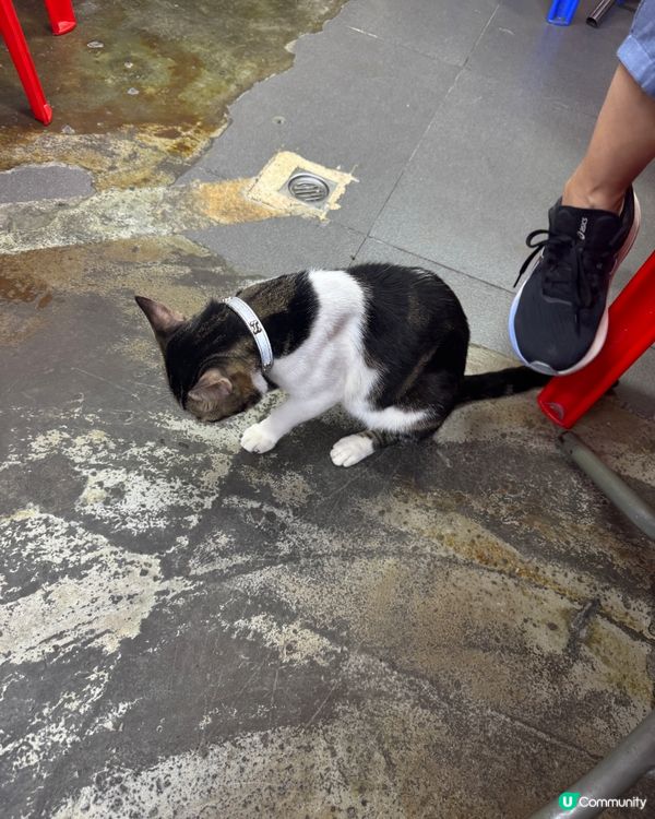 椒鹽粟米超正😋！多多雞大排檔🤤！