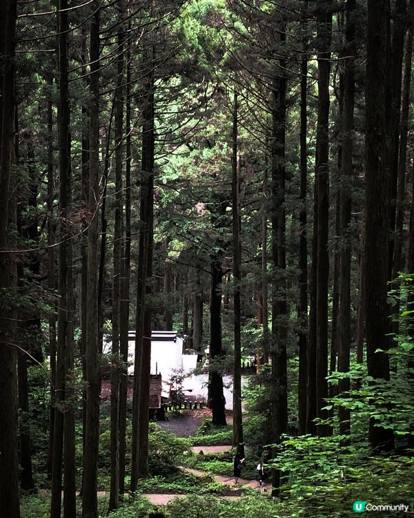環遊日本🇯🇵高千穗熊野座神社一日團攻略