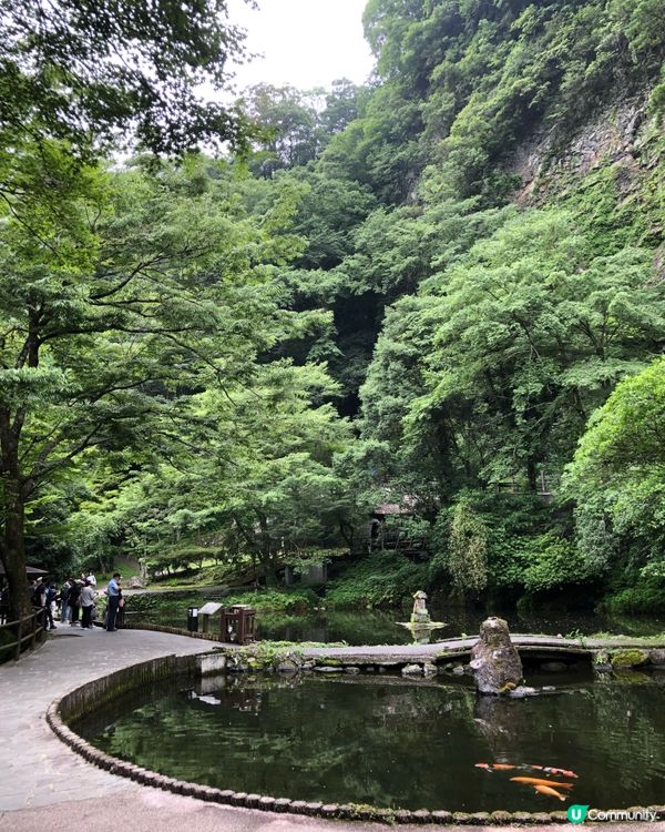 環遊日本🇯🇵高千穗熊野座神社一日團攻略