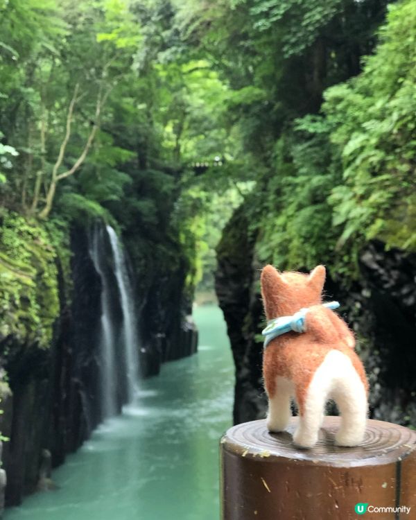 環遊日本🇯🇵高千穗熊野座神社一日團攻略