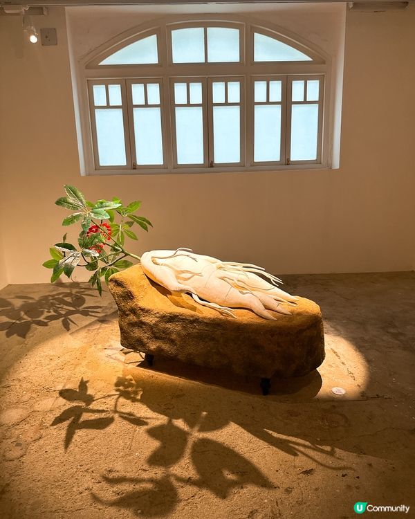 炮台山隱世藝術基地❗️ 4大亮點推介 香港人必睇展覽合集‼️🎨