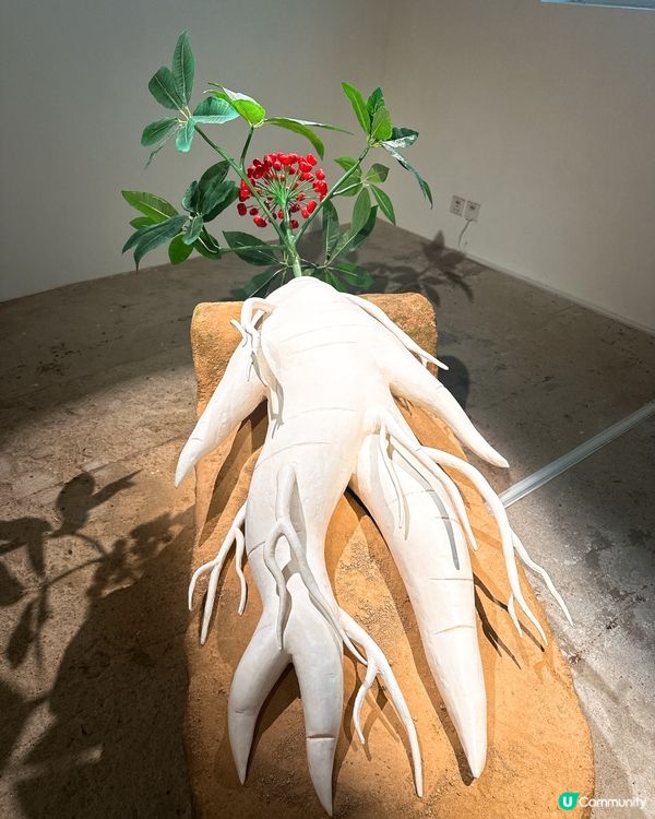 炮台山隱世藝術基地❗️ 4大亮點推介 香港人必睇展覽合集‼️🎨