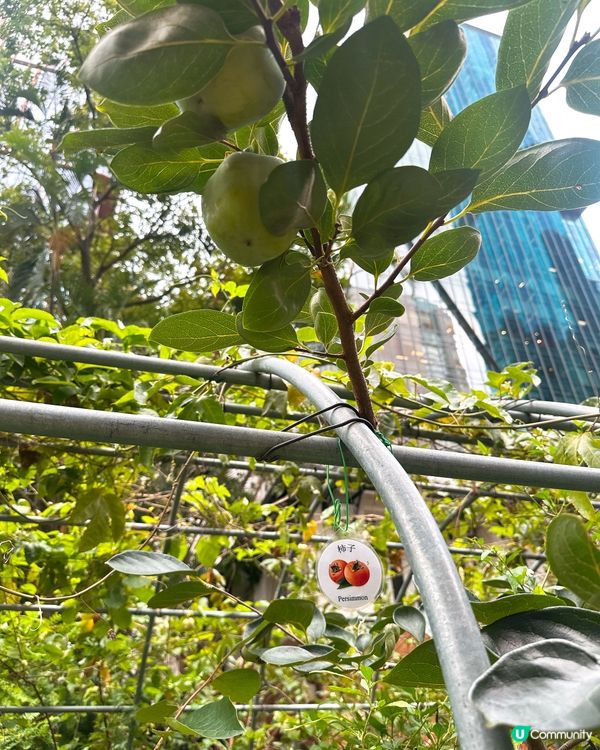 炮台山隱世藝術基地❗️ 4大亮點推介 香港人必睇展覽合集‼️🎨