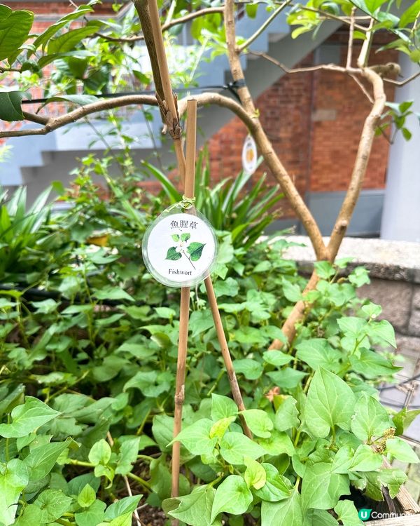 炮台山隱世藝術基地❗️ 4大亮點推介 香港人必睇展覽合集‼️🎨