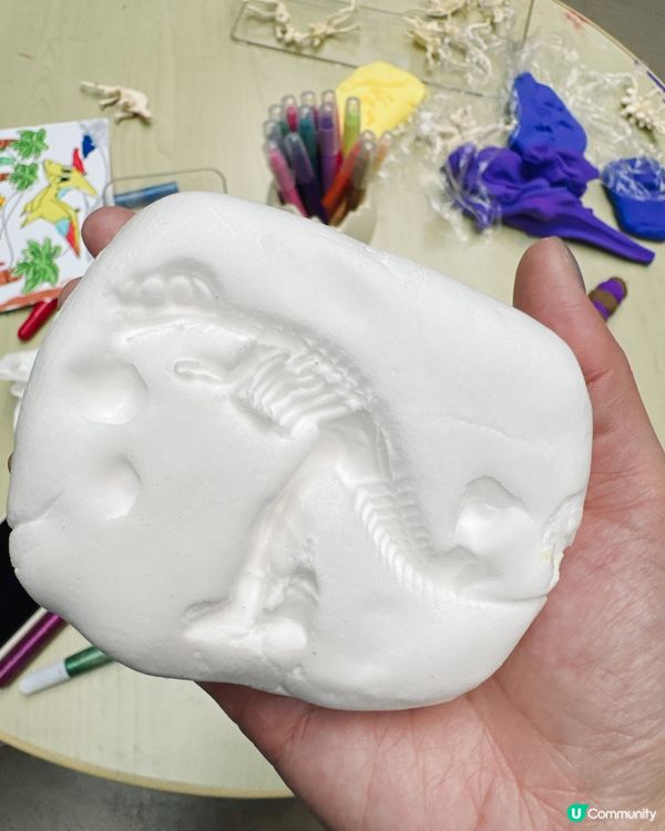 小小恐龍探險家🦖暑假南豐紗廠GO! 🤩