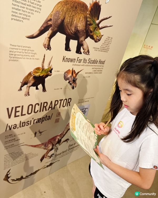 小小恐龍探險家🦖暑假南豐紗廠GO! 🤩