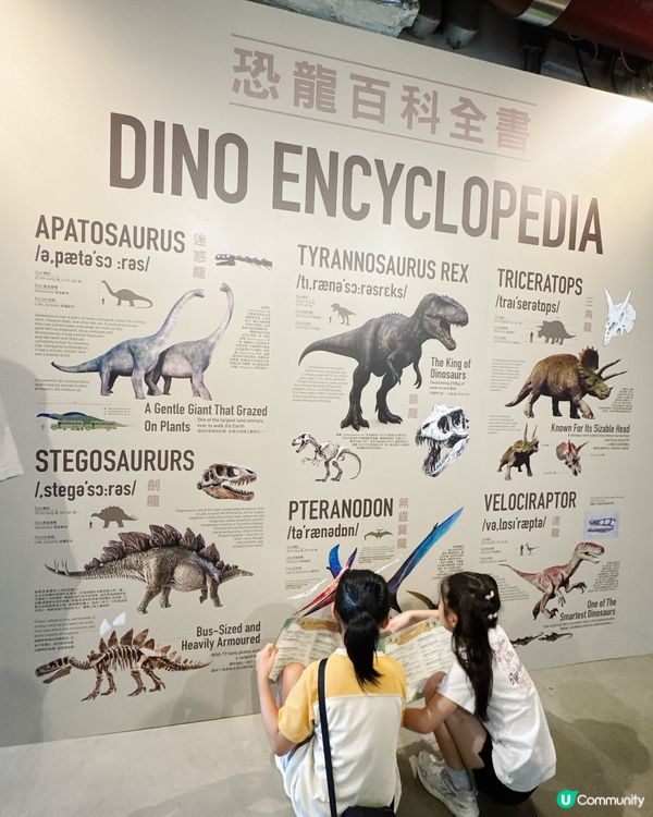 小小恐龍探險家🦖暑假南豐紗廠GO! 🤩